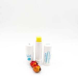 <strong>KISS </strong><br>Lippenpflegestift</strong><br>Kokosöl Sanddorn Aloe Sheabutter